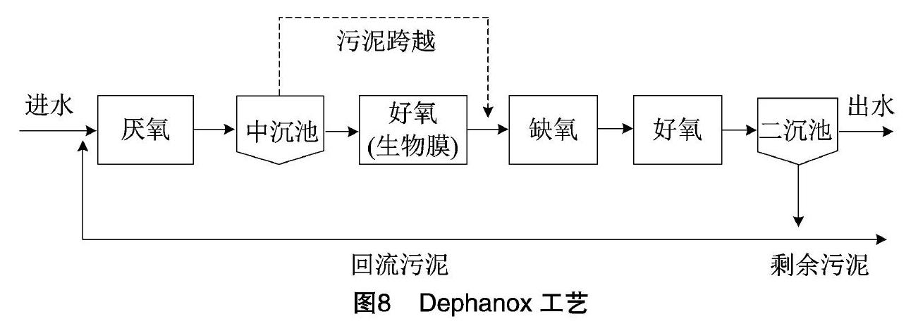 国内外水体富营养化现状及聚磷菌研究进展