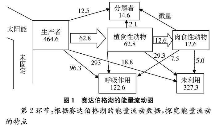 能量流动模式图图片