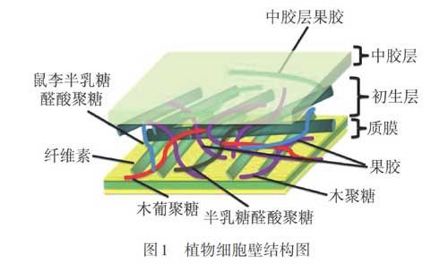 摘  要: 综述了多糖的来源,天然生物活性,分离,表征和结构特征