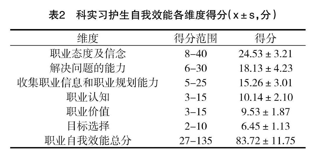 認同量表和職業自我效能量表對某醫學院116名實習護生進行問卷調查