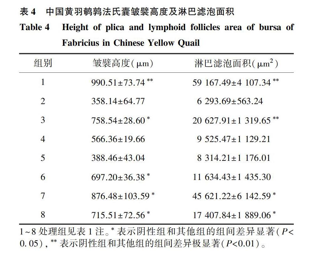 茜草制诃子对中国黄羽鹌鹑法氏囊tbet与gata3表达量的影响