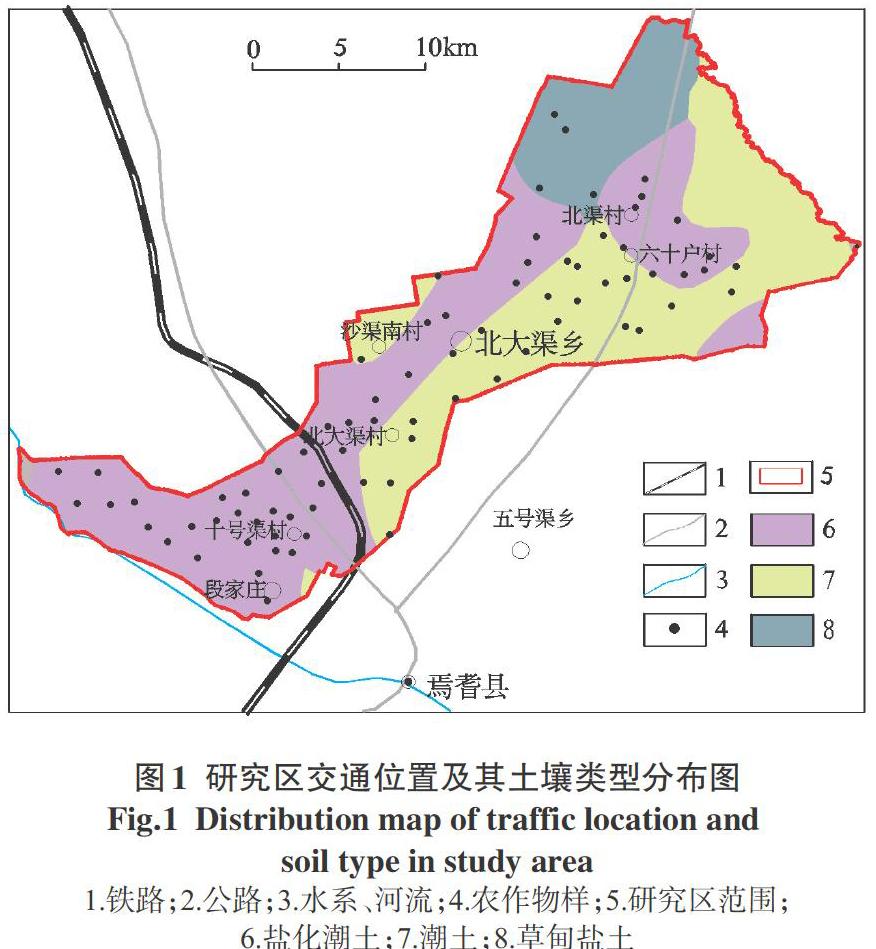 焉耆县北大渠乡土壤硒含量特征及影响因素研究