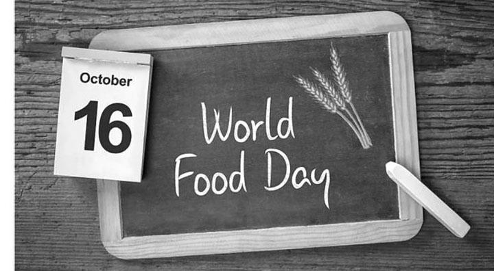 世界粮食日标志图片