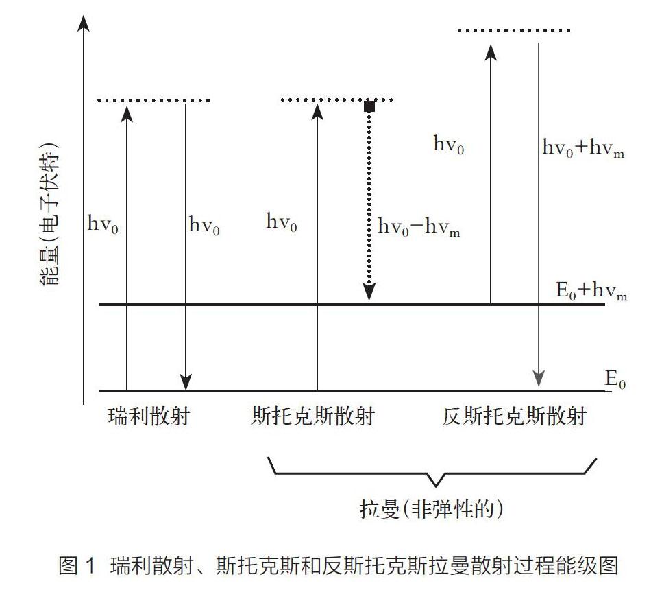 表面增强拉曼散射纳米传感器设计及农残检测应用研究