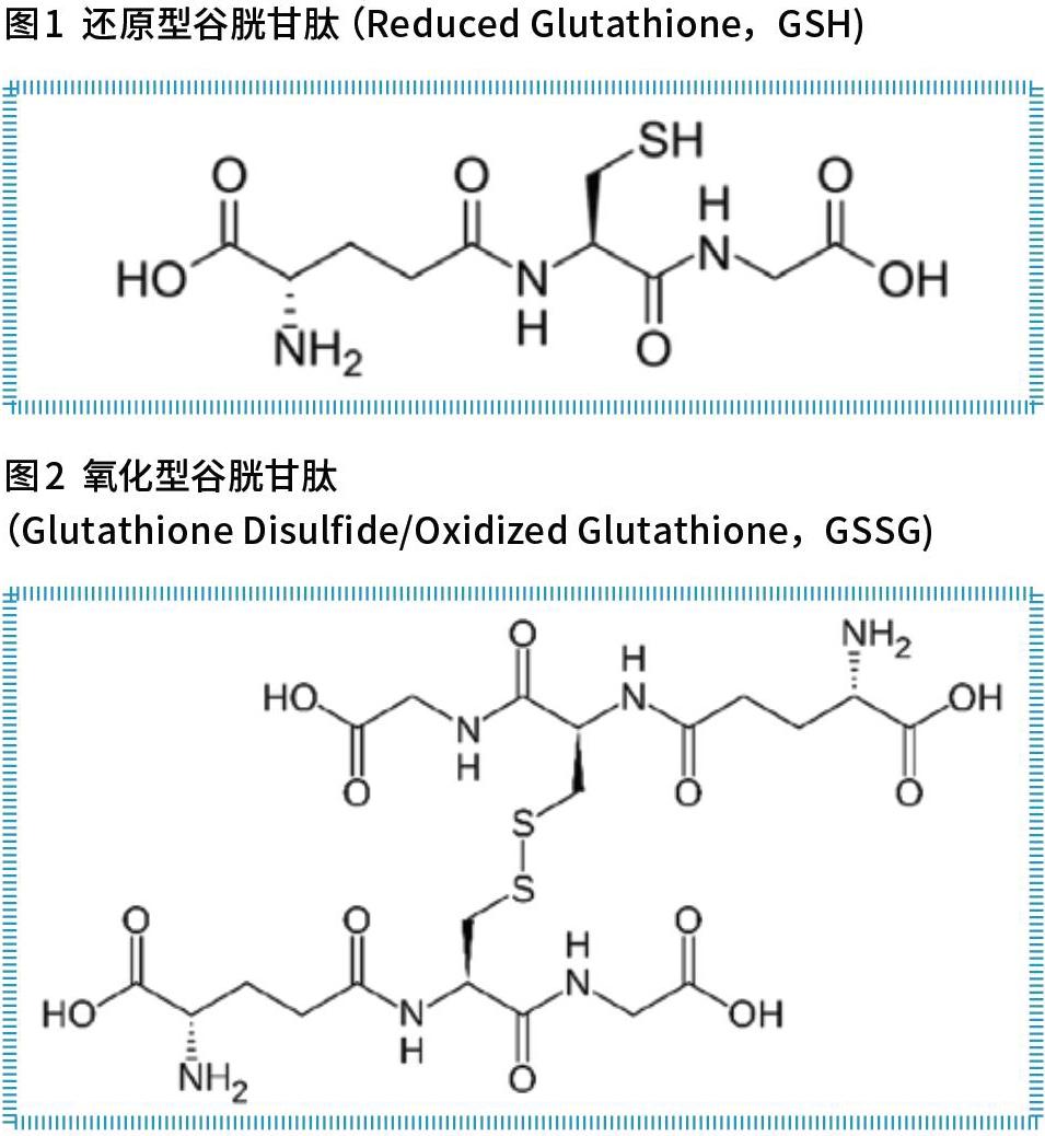 谷胱甘肽组成图片