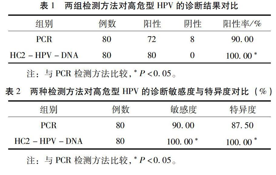 不同高危型hpv檢測在宮頸癌早期篩查中的應用