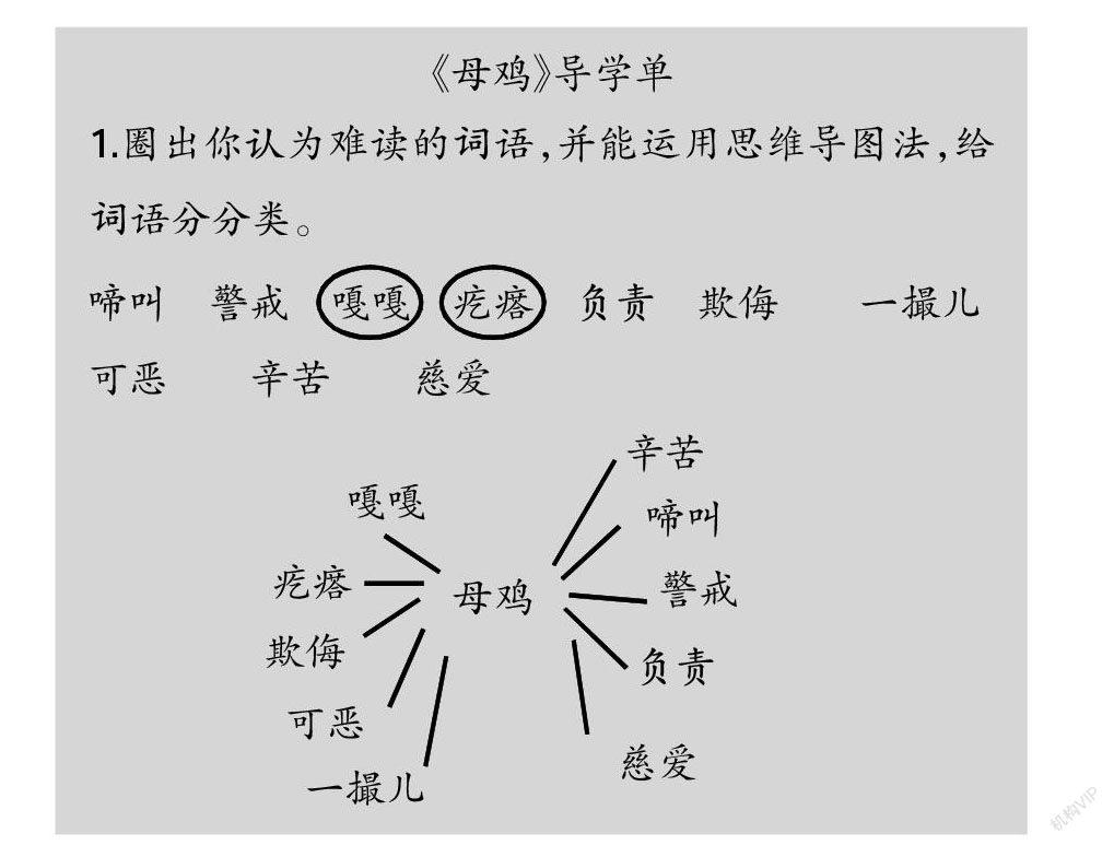 猫和母鸡对比思维导图图片