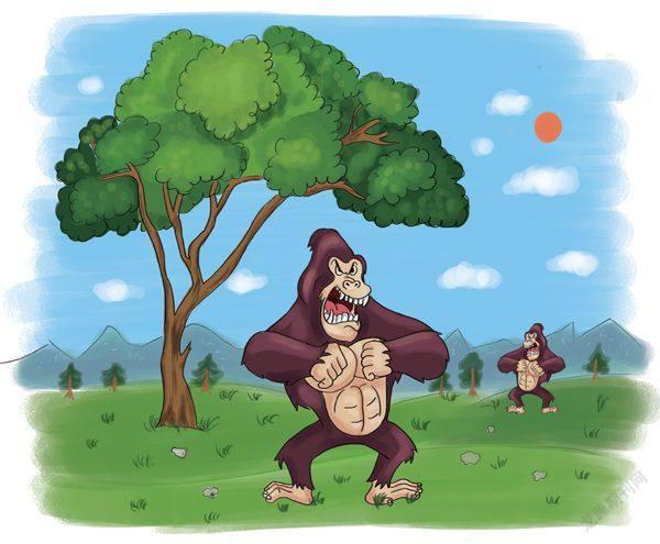 为什么大猩猩总爱敲击胸口?