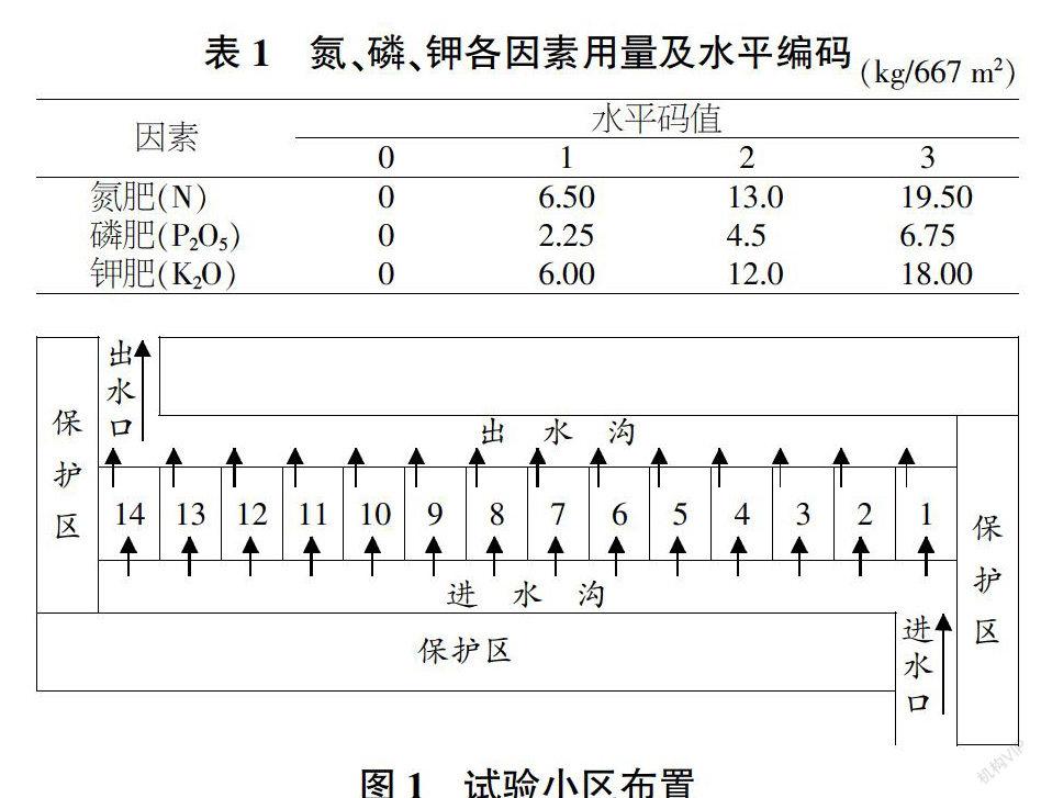 田间试验小区示意图图片