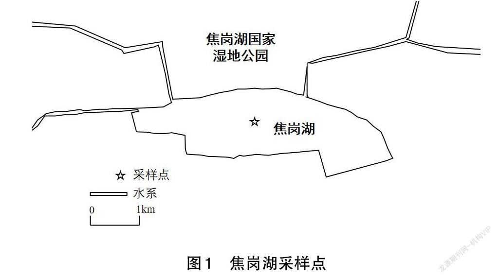 淮南焦岗湖浮游甲壳动物群落结构特征