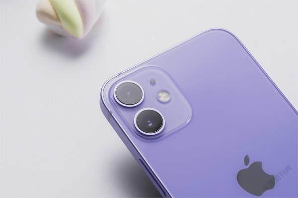 紫色iphone 12图赏 夏天就该 酱紫 参考网