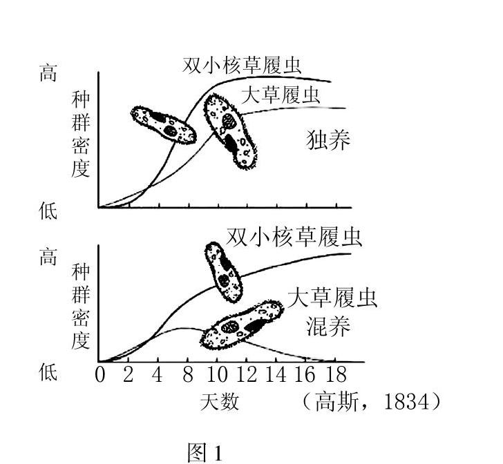 从解题向解决问题转变