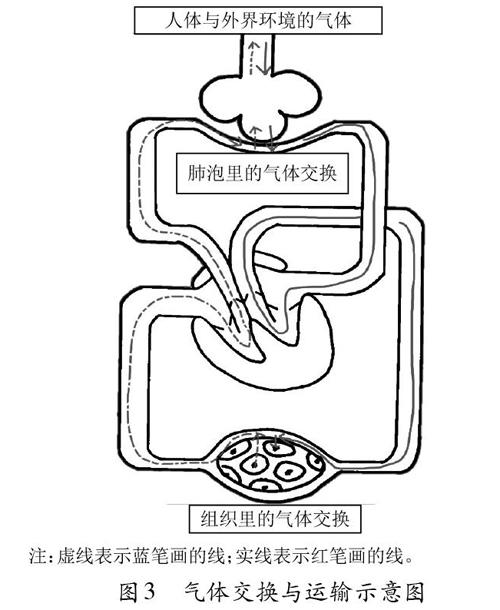 核心素养导向的生物学概念教学 中学生物学21年9期