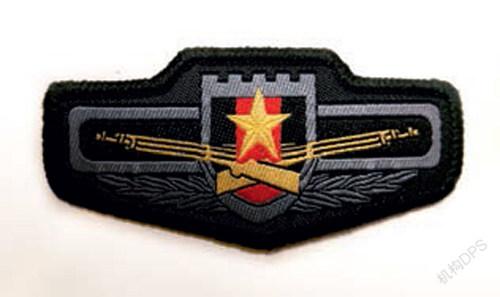 07式陆军硬胸标07式胸标分为硬胸标和软胸标两类