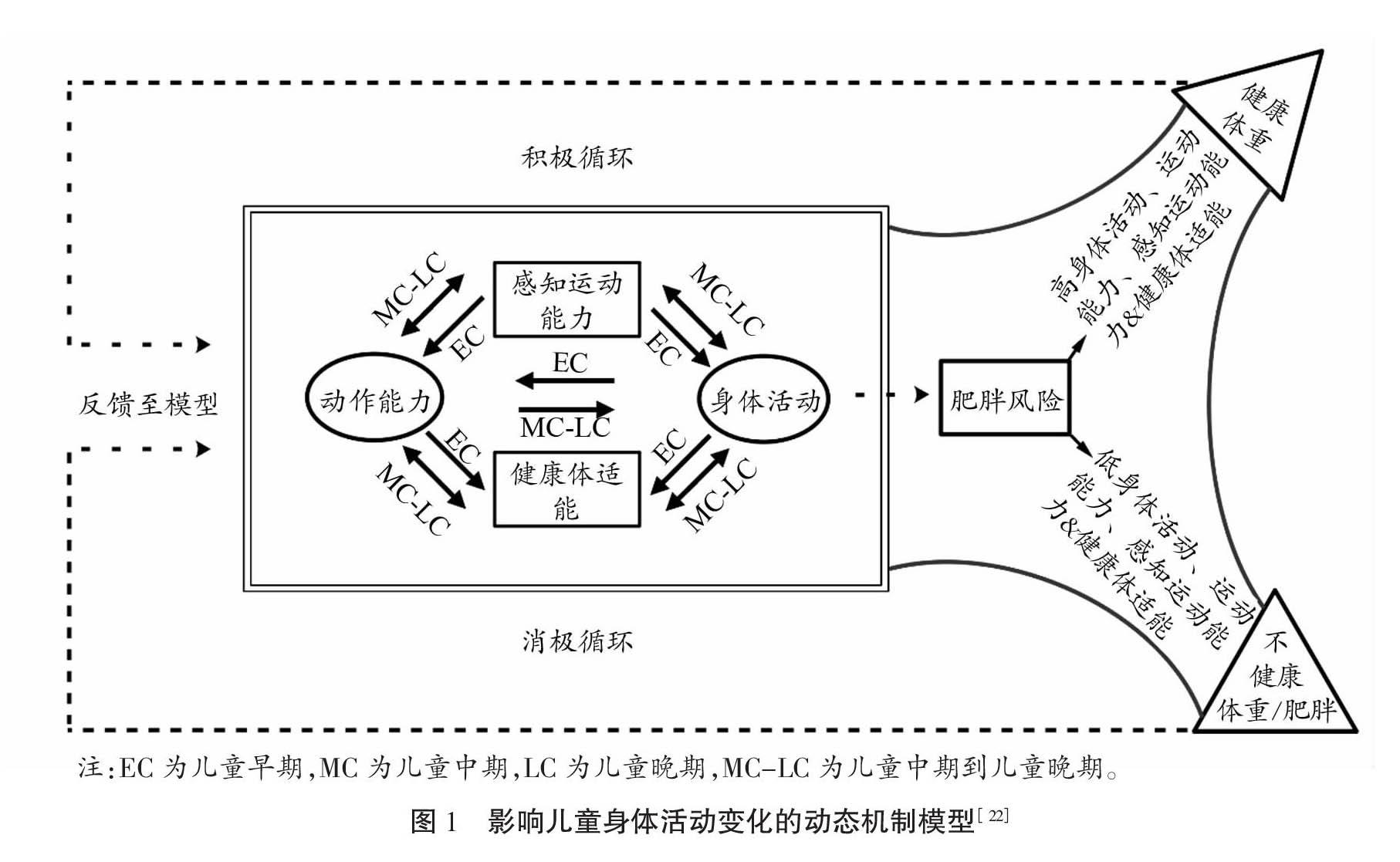 儿童青少年基本动作技能感知运动能力身体活动的相关关系研究回顾解释