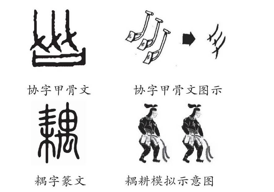 透过甲骨文看中国古代农业的早期发展
