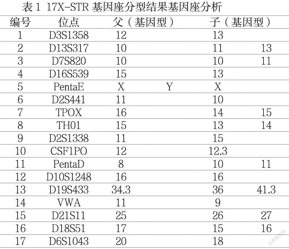 亲子鉴定基因图谱图片图片