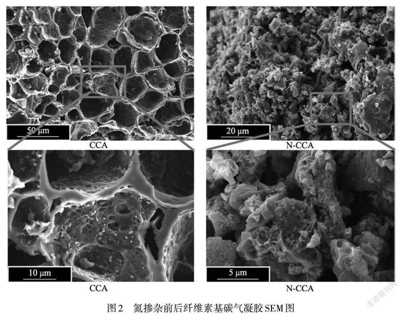 氮掺杂纤维素基碳气凝胶对染料吸附的影响