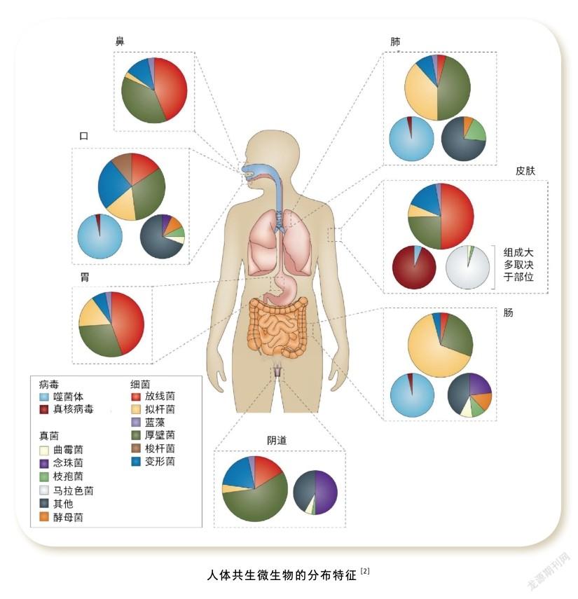 微生物占人体的比重图片