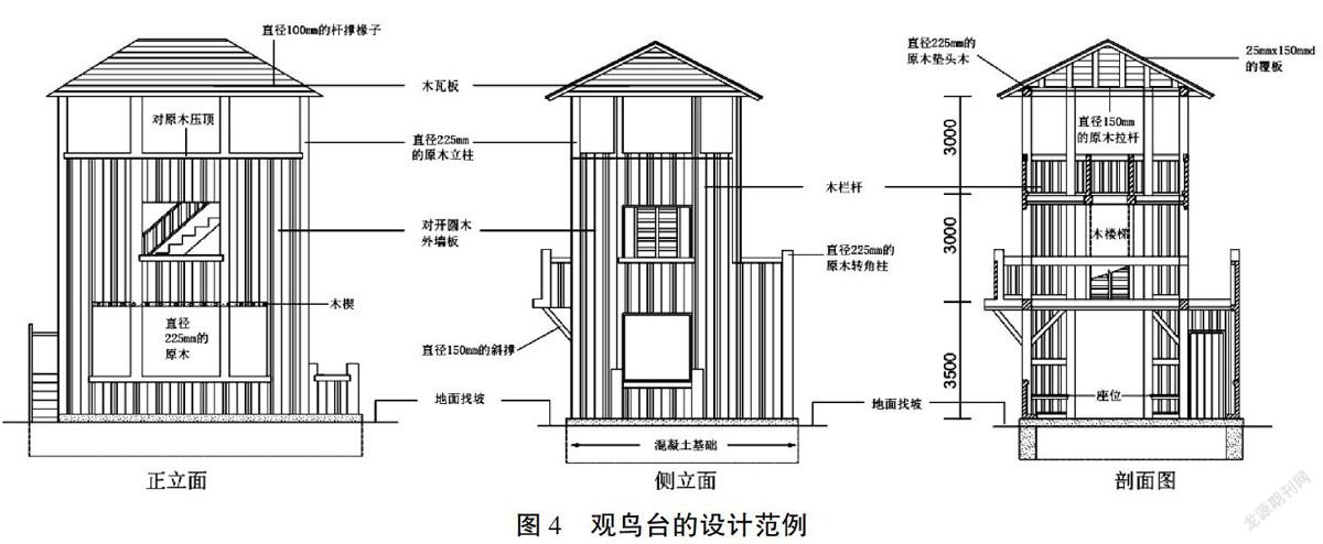 鸟巢设计图纸图片