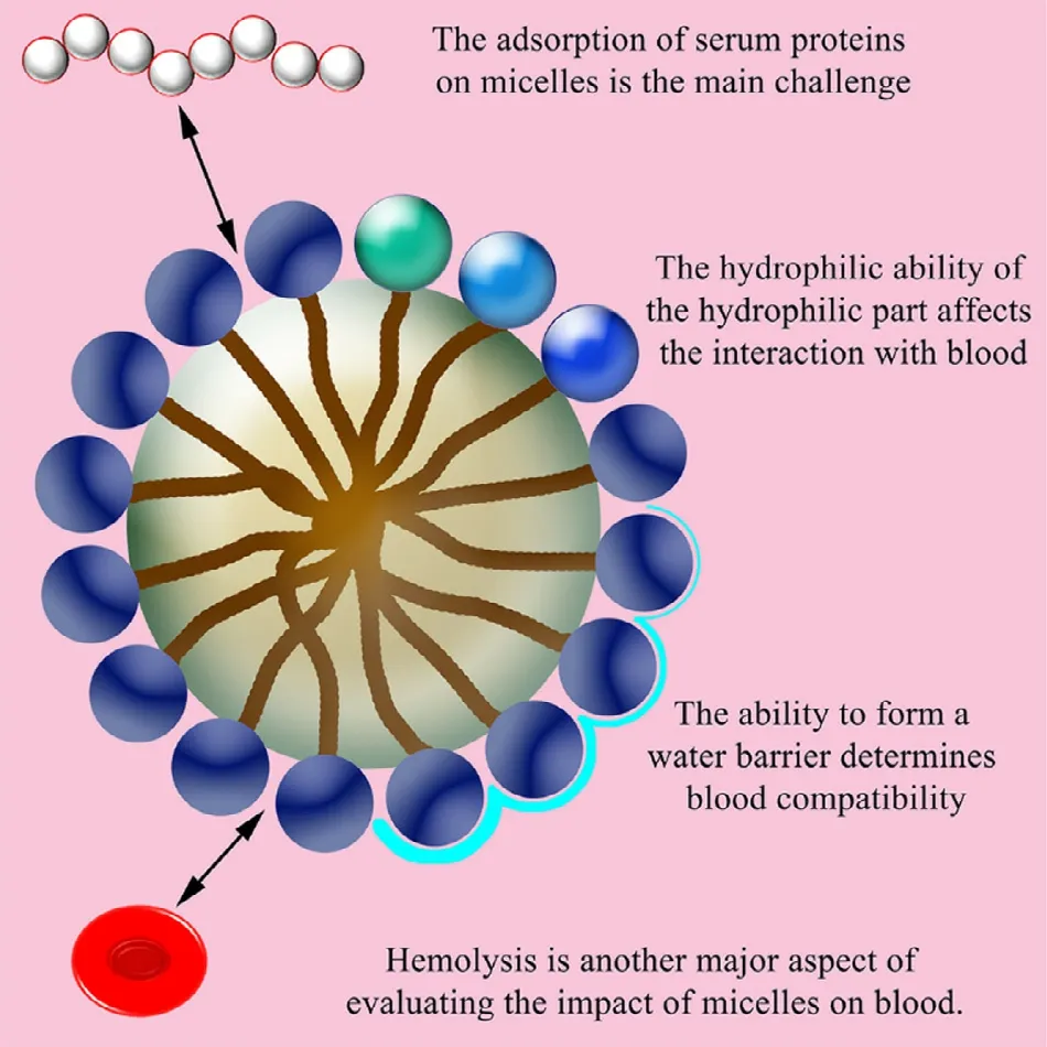 Relationship and improvement strategies between drug nanocarrier ...