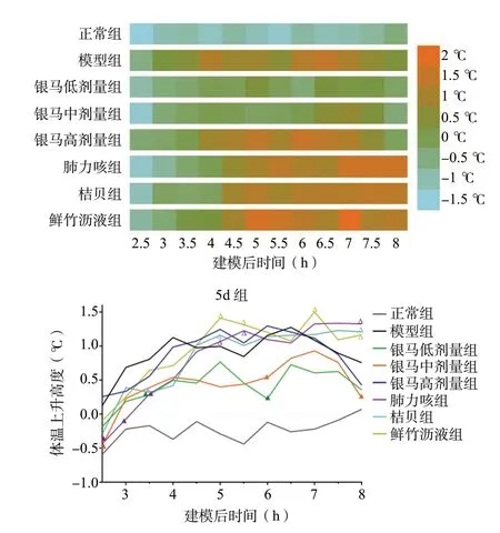 银马解毒颗粒图片