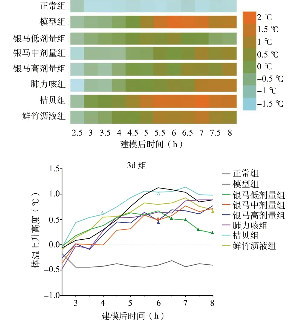 银马解毒颗粒图片