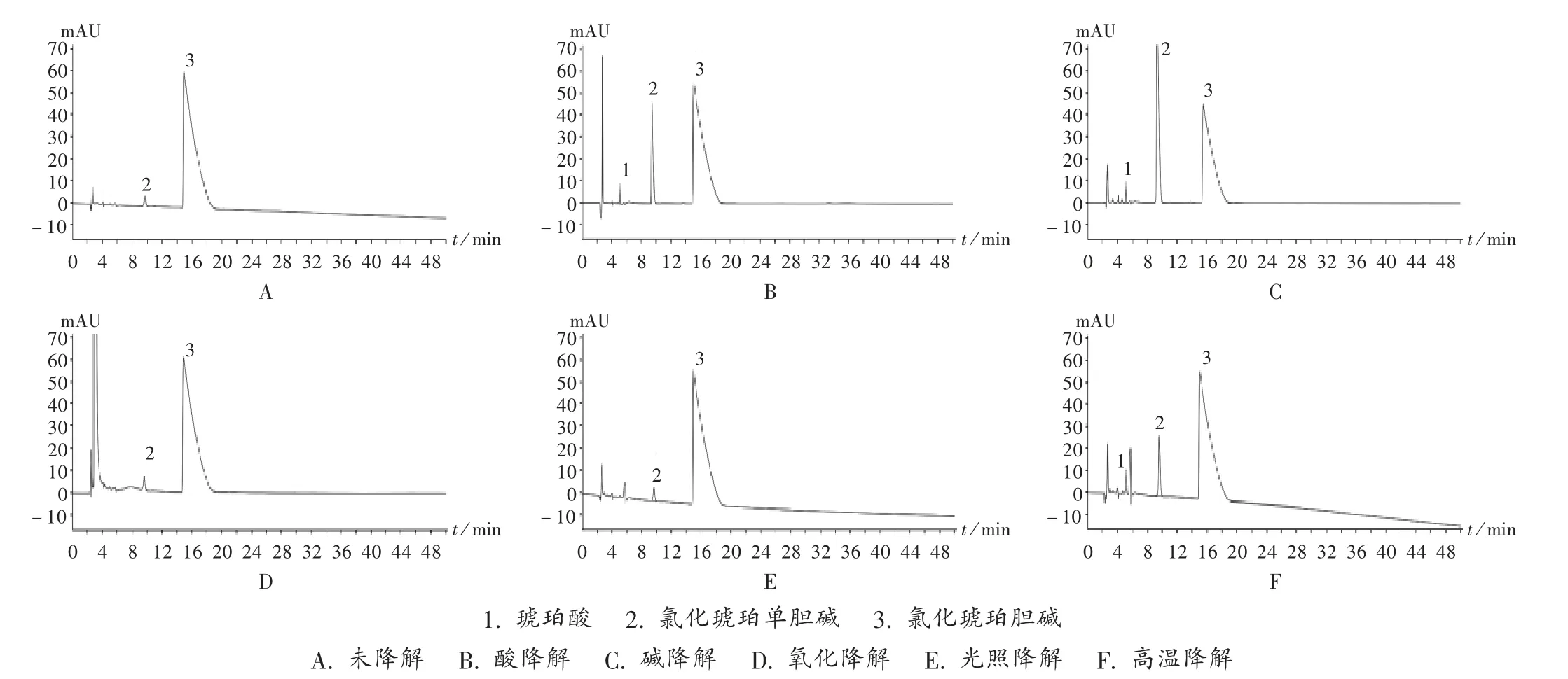 琥珀胆碱注射图片