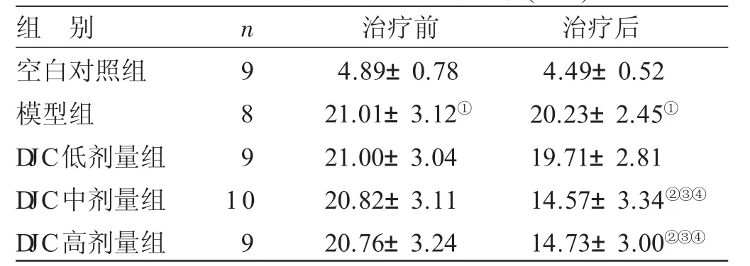 丹蛭降糖胶囊图片