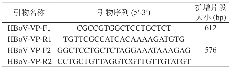 北京市腹泻儿童人博卡病毒vp1区基因特征分析