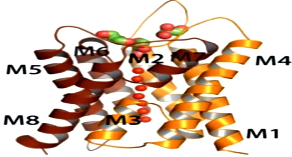 Study of the AQP4 expression in traumatic brain edema and multimodal ...