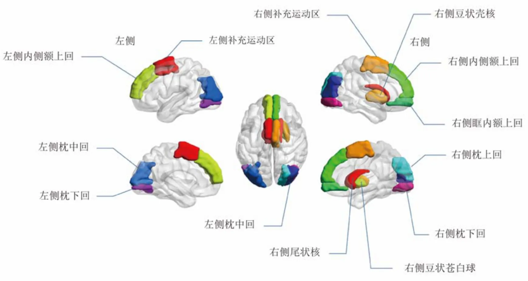 18F-FDG PET 图像联合可解释的深度学习影像组学模型对原发性帕金森病和非典型性帕金森综合征的鉴别诊断_参考网