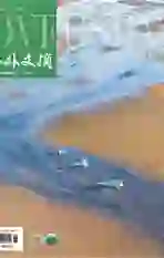 海外文摘·文学版
