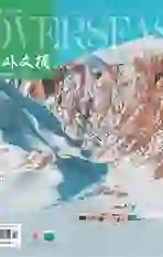 海外文摘·文学版